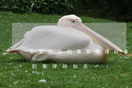 北京好的刑事案件律師事務(wù)所(北京刑事律師知名)