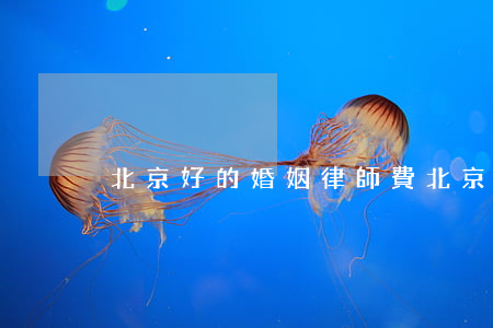 北京好的婚姻律師費(北京婚姻律師咨詢免費)