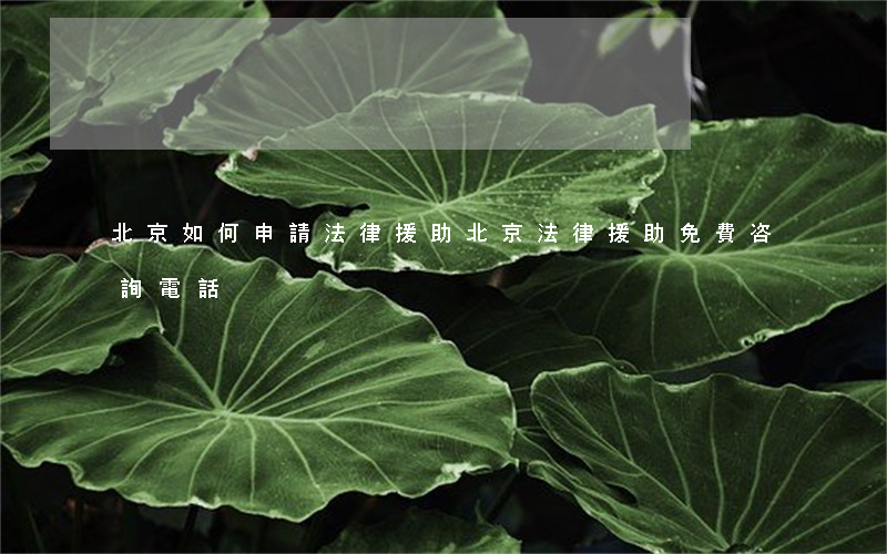 北京如何申請法律援助(北京法律援助免費咨詢電話)