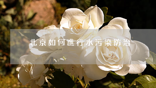 北京如何進行水污染防治