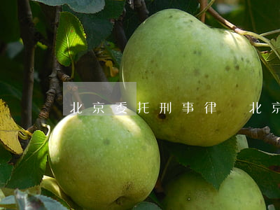 北京委托刑事律師(北京刑事律師代理)