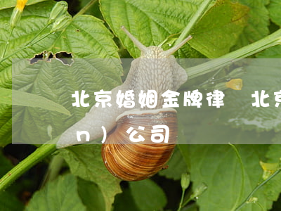 北京婚姻金牌律師(北京婚姻律師咨詢(xún)公司)