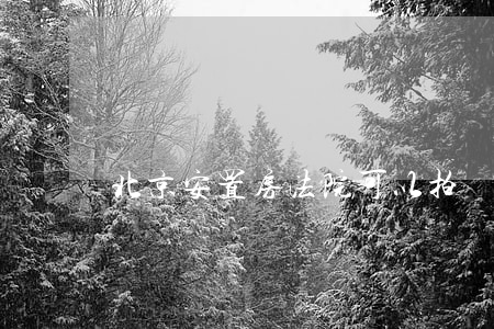北京安置房法院可以拍賣嗎