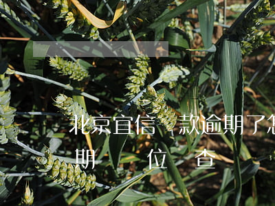 北京宜信貸款逾期了怎么辦(北京宜信貸款逾期來單位調查)