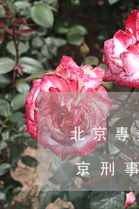 北京專業(yè)刑事辯護(hù)律師(北京刑事律師刑事辯護(hù)律師)