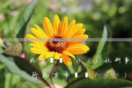 北京專業(yè)化刑事律師事務(wù)所(北京市專業(yè)刑事律師)