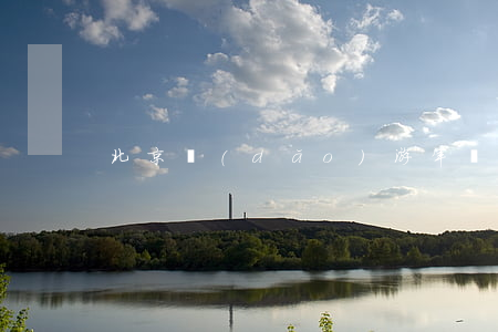 北京導(dǎo)游年審