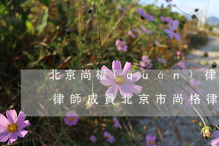 北京尚權(quán)律師事務(wù)所律師成員(北京市尚格律師事務(wù)所)