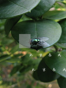 北京岳成律師事務(wù)所律師岳什么山(北京岳成律師事務(wù)所律師岳什么山)
