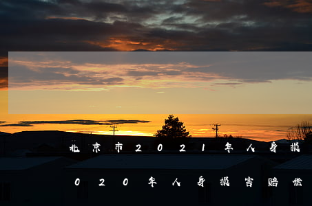 北京市2021年人身损害赔偿标准(北京2020年人身损害赔偿标准)