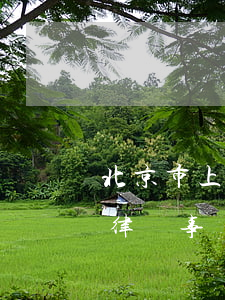 北京市上德律師事務(wù)所(北京市上德律師事務(wù)所地址)