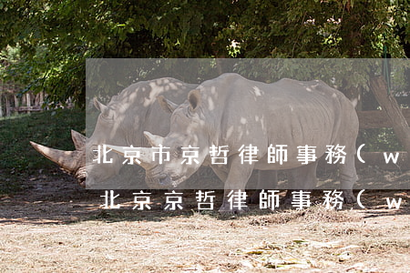 北京市京哲律師事務(wù)所怎么樣評價(北京京哲律師事務(wù)所主任)