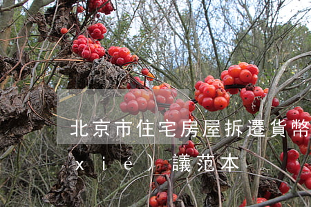 北京市住宅房屋拆遷貨幣補(bǔ)償協(xié)議范本