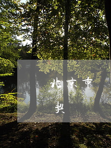 北京市內(nèi)銷商品房預(yù)售契約