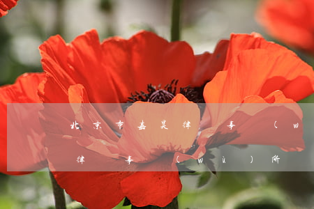 北京市嘉昊律師事務(wù)所(北京市嘉昊律師事務(wù)所)