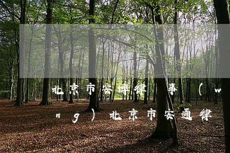 北京市安博律師事務(wù)所官網(wǎng)(北京市安通律師事務(wù)所)
