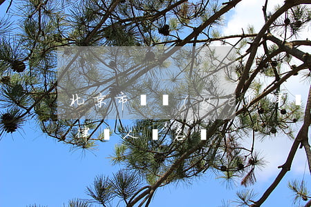 北京市專業(yè)律師名單(北京最有名的律師人員名單)