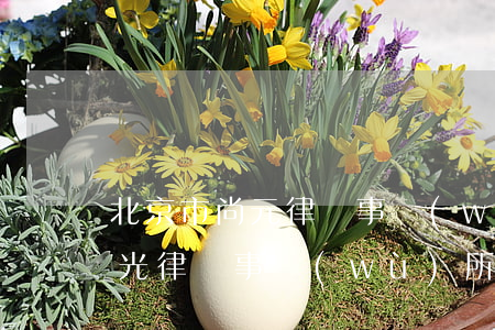 北京市尚元律師事務(wù)所呂海(北京尚光律師事務(wù)所)