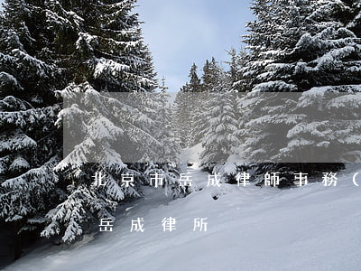 北京市岳成律師事務(wù)所怎么樣(北京岳成律所)