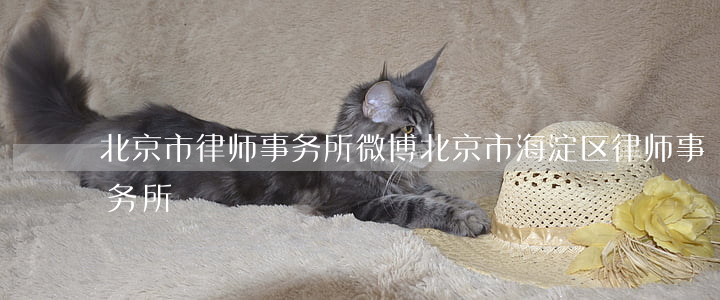 北京市律师事务所微博(北京 市海淀区律师事务所)