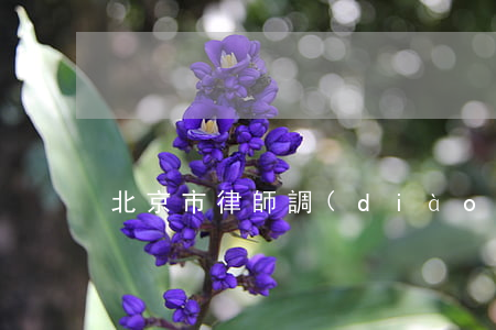 北京市律師調(diào)解員條件