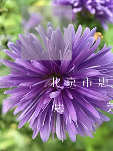 北京市惠誠(東莞)律師事務(wù)所(北京市惠誠(東莞)律師事務(wù)所 梁嘉茵律師)