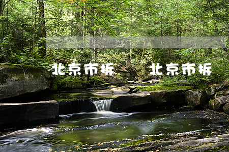 北京市拆遷辦(北京市拆遷辦公室)