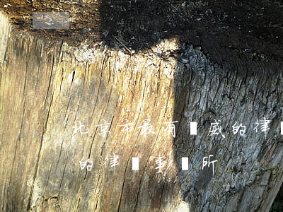 北京市最有權威的律師事務所(北京市有著名的律師事務所)