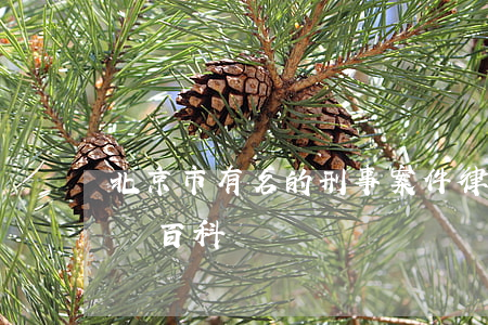 北京市有名的刑事案件律師(北京著名刑事律師百科)