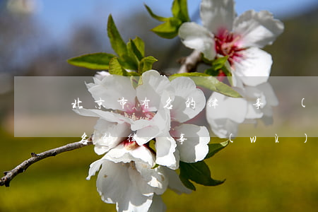 北京市有名的律師事務(wù)所(北京市有名的律師事務(wù)所永久幾個)