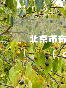 北京市有幾個(gè)區(qū)(北京市有幾個(gè)區(qū)幾個(gè)縣幾個(gè)鎮(zhèn))