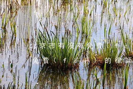 北京市有沒有免費(fèi)的律師(北京有免費(fèi)的律師事務(wù)所嗎)