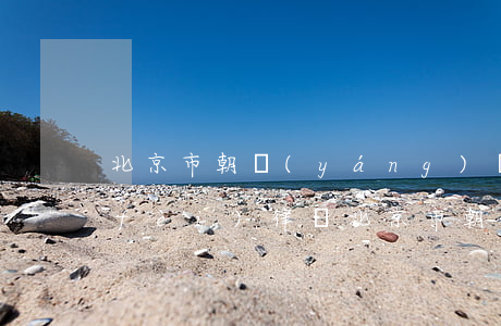 北京市朝陽(yáng)區(qū)免費(fèi)律師(北京市朝陽(yáng)律師所)