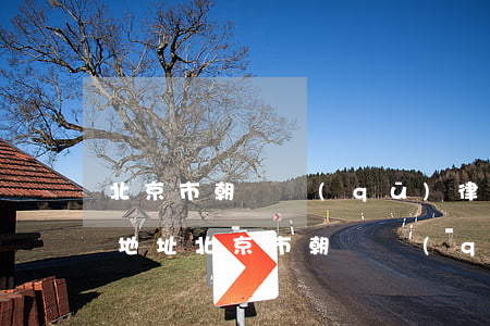 北京市朝陽區(qū)律師協(xié)會地址(北京市朝陽區(qū)律師協(xié)會地址電話)