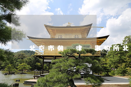 北京市朝陽律師事物所(北京朝陽律師事物所)