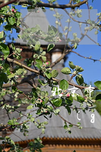 北京市東城區(qū)拆遷政策(北京市拆遷規(guī)劃)