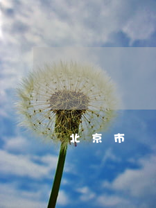 北京市東方恒信律師事務(wù)所