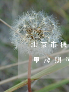 北京市機(jī)動車號牌怎么繼承(北京汽車牌照可以繼承嗎)