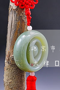 北京市法大律師事務(wù)所律師(北京法大律師事務(wù)所律師名單)