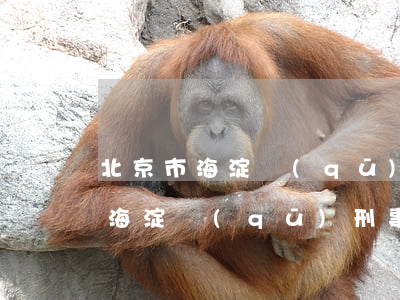北京市海淀區(qū)刑事案件律師(北京市海淀區(qū)刑事案件律師)