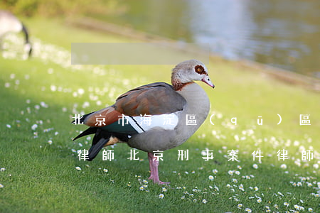 北京市海淀區(qū)區(qū)刑事案件律師(北京刑事 案件 律師)