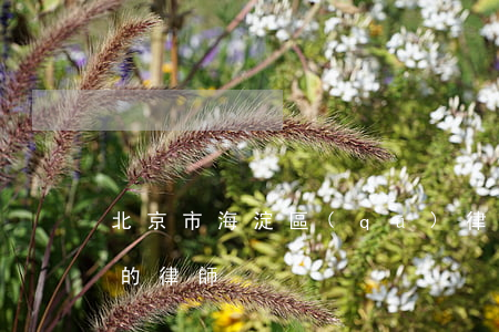 北京市海淀區(qū)律師刑事(北京市海淀的律師)
