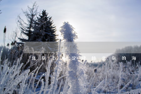 北京市海淀律師(北京的海淀律師)