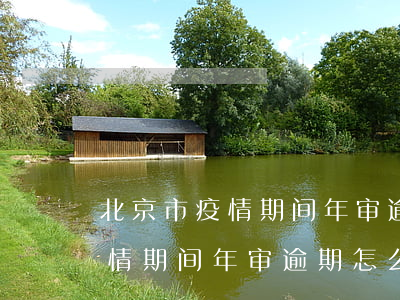 北京市疫情期间年审逾期怎么办-北京市疫情期间年审逾期怎么办手续