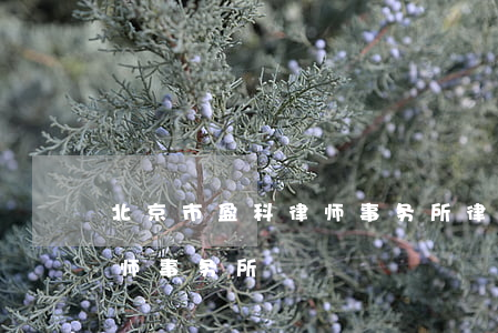 北京市盈科律师事务所律师名单(盈科北京律师事务所)