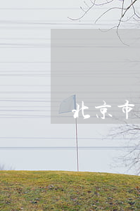 北京市租房合同(北京市租房合同下載)