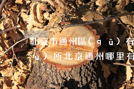 北京市通州區(qū)有名的律師事務(wù)所(北京通州哪里有律師事務(wù)所)