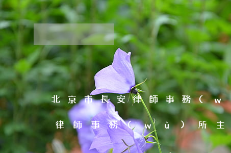 北京市長安律師事務(wù)所(北京市長安律師事務(wù)所 主任)