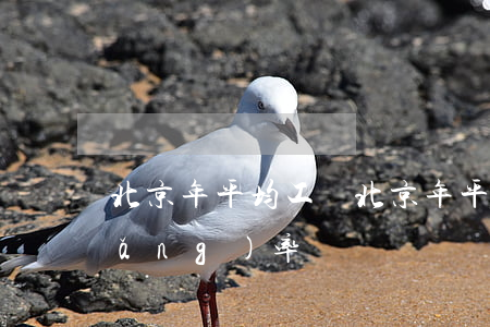 北京年平均工資(北京年平均工資增長(zhǎng)率)