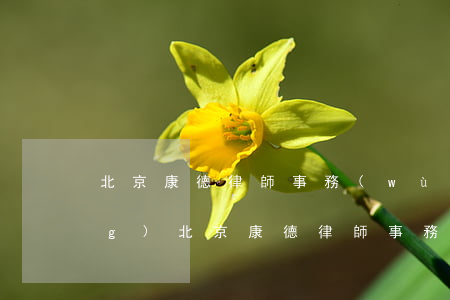 北京康德律師事務(wù)所官網(wǎng)(北京康德律師事務(wù)所官網(wǎng))